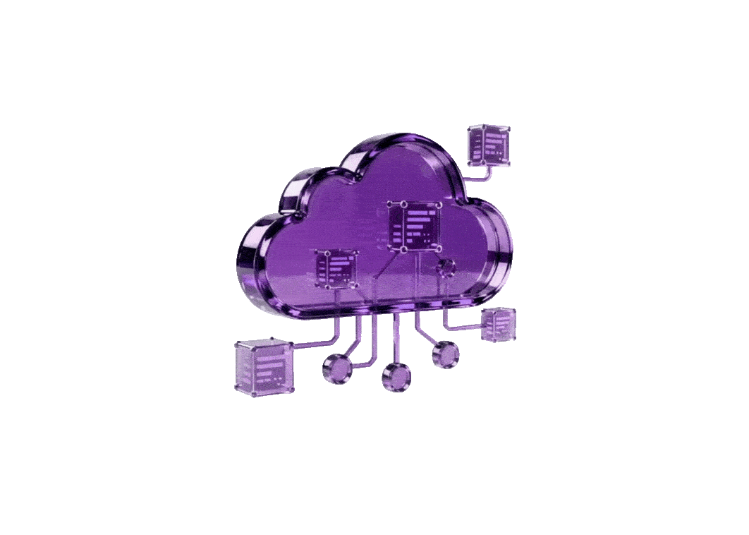 Hosting Provider