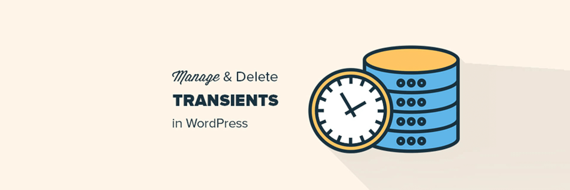 Manage and Delete Transients using TransientsManager